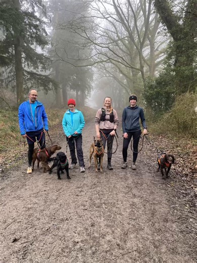 Another super Sunday of Canicross 🐕‍🦺👟💛 Skye, Bertie, Cocoa, Pepper, and Whiskey all out on the trails today — each one special in their own way and bringing their own energy to the run. Watching the dogs work, learn, and enjoy themselves never gets old 🐾 And it’s not just about the dogs. It’s the people too. I feel so lucky to share these mornings with such wonderful friends, muddy trails, and wagging tails. This is what Canicross is all about ✨ #CanicrossCommunity #RunWithYourDog #SundayM