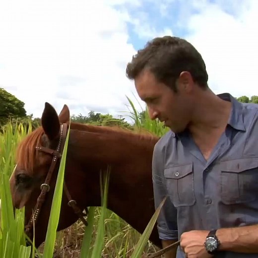 Alex O'Loughlin 2023 - Hawaii Five-O Taskforce Ohana