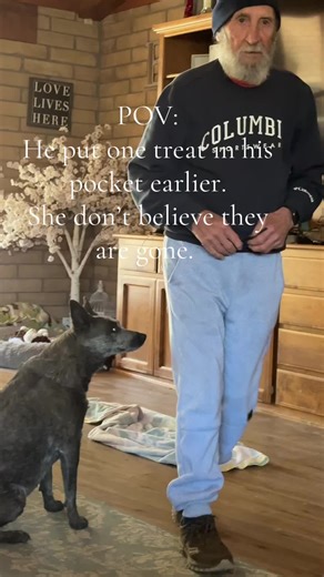 Julia Bellini 🇺🇸 (@juliabellini67)’s videos with original sound - Julia Bellini 🇺🇸