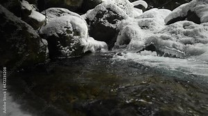 Rapids in a winter river through a snow-covered rock with ice and snow. Frosty river in a pine forest. Pure crystal drinking water