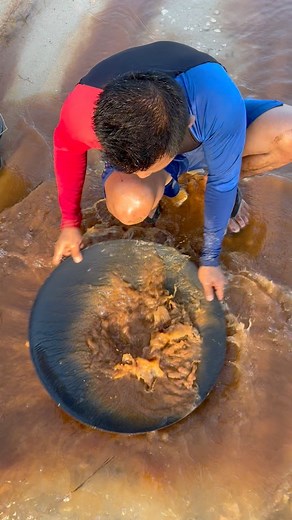 17K views · 1.2K reactions | Pure gold mining using gold pans #puregold #goldmining #goldpanning | Nepri Andries | Facebook