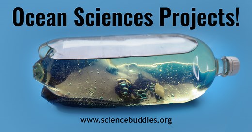 Ocean Science Projects, Lessons, and Experiments | Science Buddies Blog