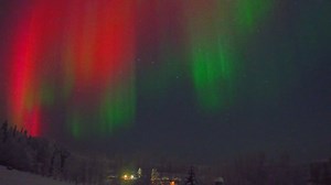 Xmas is coming. Northern Light spectacle on our Arctic cam! Watch live at https://explore.org/livecams/UAF/aurora-cam | explore.org