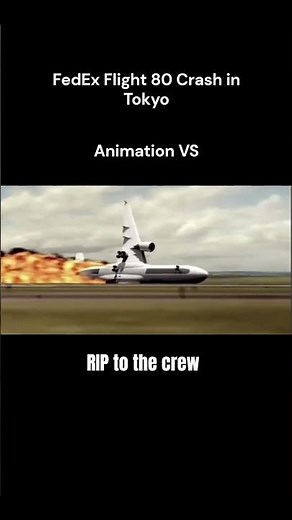 FedEx flight 80: Animation vs Real