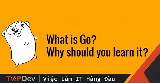 Golang là gì và tại sao bạn nên học Go? | TopDev