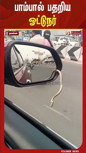 உஷ்.. உஷ்.. திடீரென ஓடும் காரின் கண்ணாடியில் இருந்து வெளியே வந்த பாம்பால் பதறிய ஓட்டுநர்.!