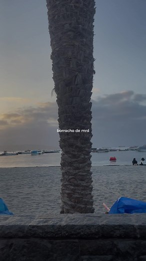 #playa #fyp