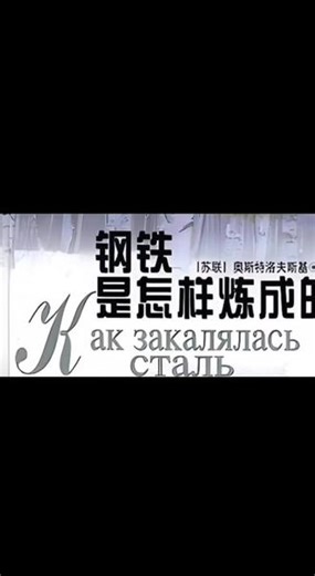 钢铁是怎样炼成的片段4 德国人进城，保尔往面粉里加烟草沫，戏耍德国人，市长被挨打，查出的保尔干的，保尔又挨了25铁棍。#老电影名场面 #钢铁是怎样炼成的保尔柯察金 #奥斯特洛夫斯基#好剧推荐
