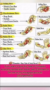 Anatomy notes//#mbbs #bds #bpt Handwritten notes