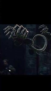 Alien vs Predator 2004