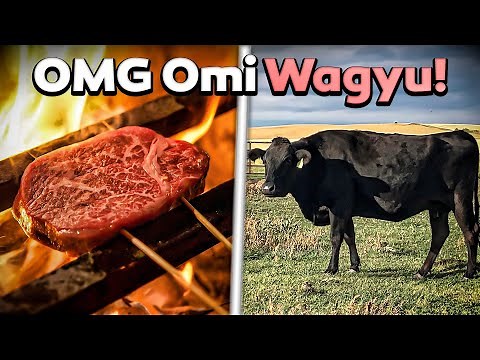 How Omi Wagyu are Fed & Raised in Japan - Farm Tour & Tokyo Butcher Shop