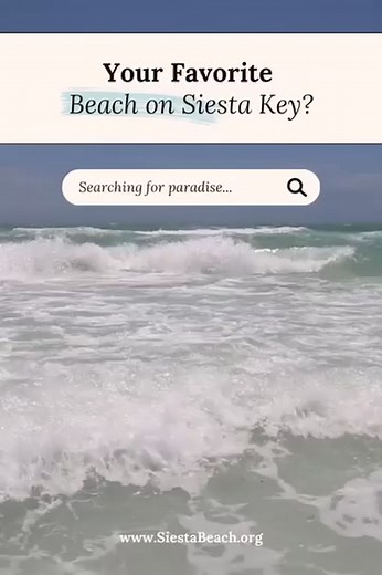 2K views · 50 reactions | Siesta Key on Reels | Facebook