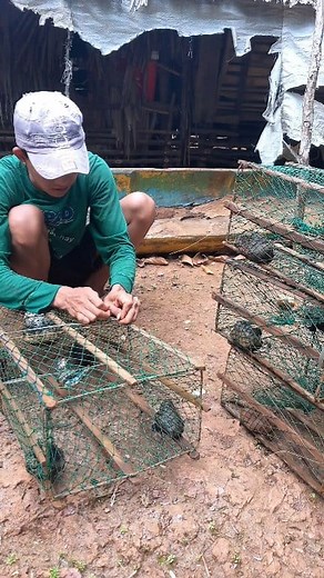Catching crab using bubo trap And the bait I made was dried fish 🦀 #fishing #seafood #simplelife #crabs #fishinglife | Mark Salen