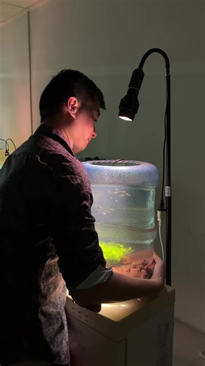 Enhancing Your Aquarium with Modified Fish Tank Lighting