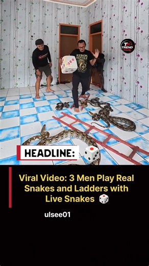 Men Played Snakes & Ladders with REAL Snakes! 🐍😱 | Viral Video