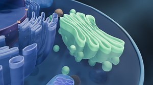 Our oldest microbial ancestors were way ahead of their time