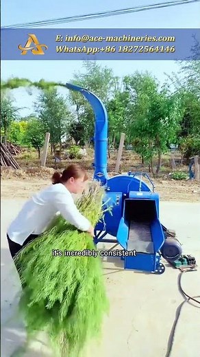 ACE Fodder Cutter Hay Cutting Machine for Sale