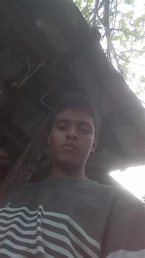 Videos de Alex Chacón 439 (@alex_chacon_438) con “PIN PON - El Abelito”