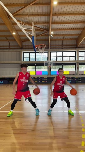 Dance Basketball TikTok Challenge with Basketball Snoopy