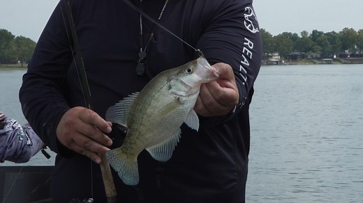 The crappie in Grand Lake, OK really like the smaller profile baits. | American Crappie Trail