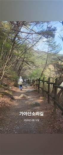 경남합천여행, 가야산소리길 힐링트레킹. #합천여행 #합천가볼만한곳 #가야산소리길 #힐링트레킹 #시니어여행 #가야산국립공원 #해인사 #길상암 #홍류동계곡 #걷기좋은길