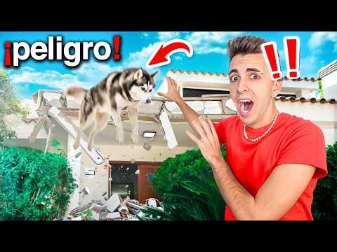 MI PERRO SE CAE DEL TEJADO…*me juego la vida para salvarlo!*