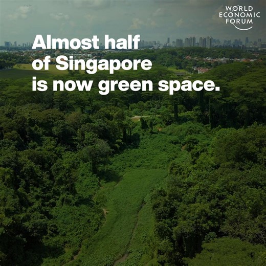 477K views · 13K reactions | Singapore’s green space ranges from...