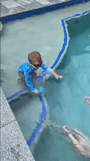 Cute Baby Swimming Video #baby #toddler #swimming #pool #swimmingpool