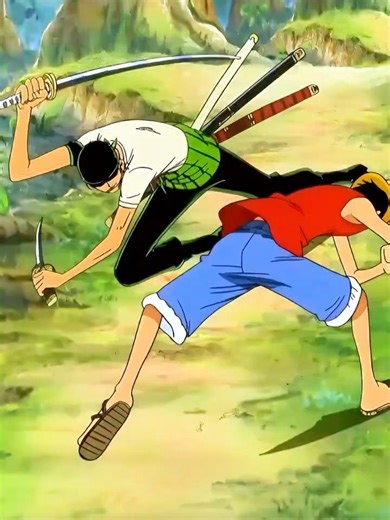 Roronoa Zoro vs Monkey D. Luffy - One Piece