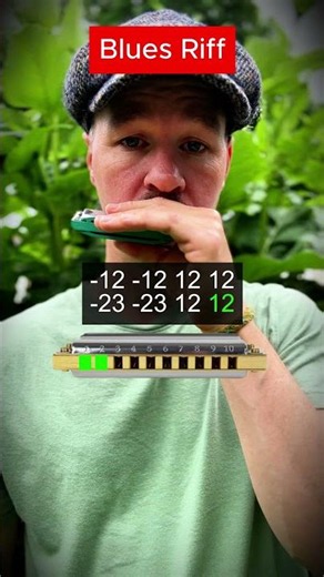 Harmonica Tutorial for Beginners EASY Blues Riff Harmonica #harmonica #blues