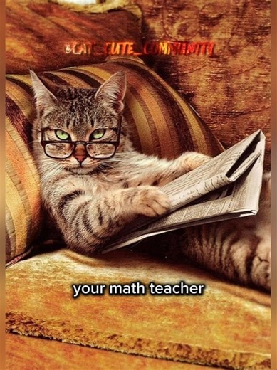 Exlpain your math teacher using one emoji..