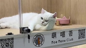 0516-鉴别伪人5-rg-0605-lgy_67417a7d7ce32