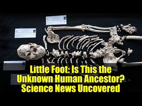 Little Foot: Is This the Unknown Human Ancestor? Science News Uncovered