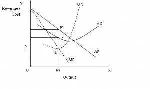Price Determination under Monopoly