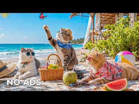 12 HOURS Of Gentle Cat Sleep Music 😻 Deep Relaxation & Anti Anxiety Sounds 🎶 Peaceful Healing Tunes