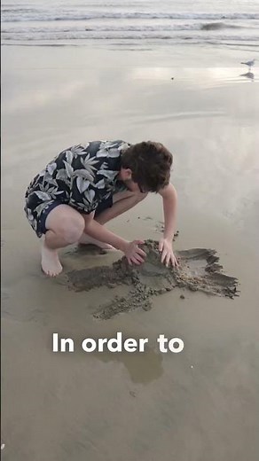 world’s largest sandcastle