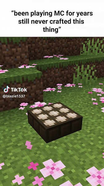 Understanding Minecraft's Unique Features