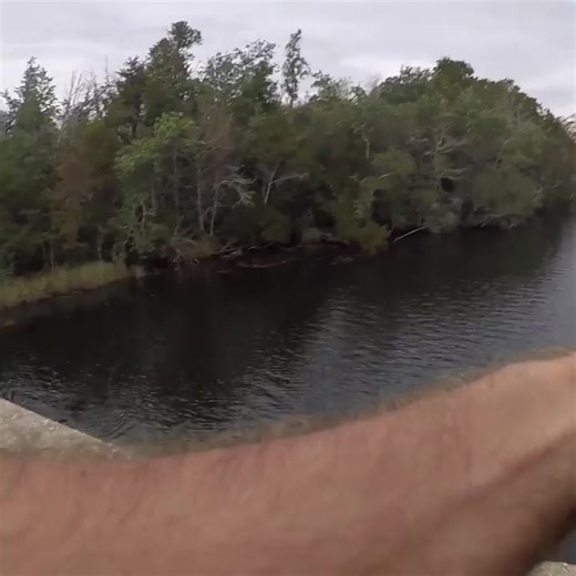 Fishing taste test Ep5 Mullet Roe (FULL VIDEO IN BIO) | P-Fishing | Facebook