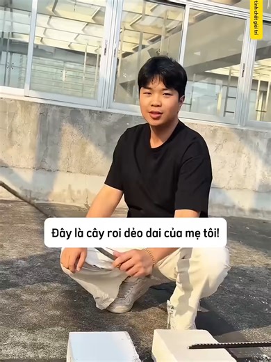 Kiểm Tra Đồ Chơi: Cứng Cáp Hay Mềm Mại?