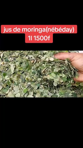 Recette du jus de moringa (nébéday) sénégalais fait maison