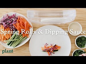 Homemade Spring Rolls and Dipping Sauce | Plant Recipes
