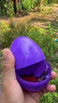 Hidden Garden Water Trails Discovering Fish and