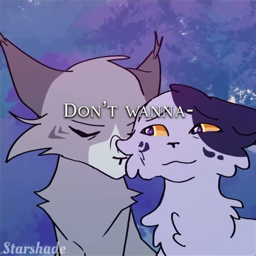 Warrior cats Needletail edit {Piano in the sky} #warriorcats #edit