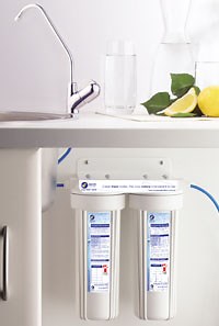 Dual Undersink Filter System - Aeon Water Filters