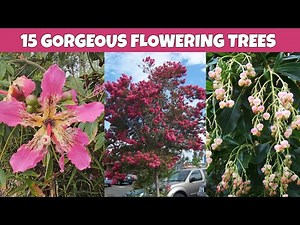 15 Fantastic Flowering Trees