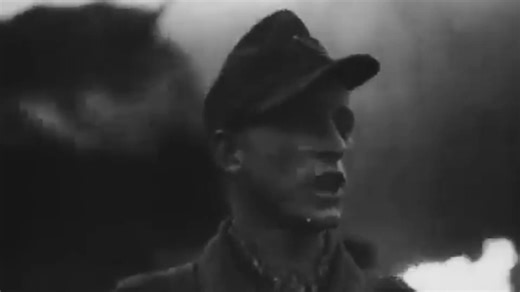 The Colmar Pocket: Allies vs. Germany’s last stand in France