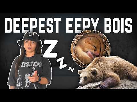The Deepest Sleeps in Nature (That We Know Of) | Lindsay Nikole