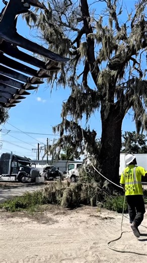 Rolling Up to Your Property for Expert Tree Care! 🌳🚛 Let the All Your Way team roll up and bring premium tree care services straight to your doorstep! From trimming to removal, we handle it All Your Way—safe, efficient, and reliable. Your trees deserve the best care, and we’re here to deliver! 💪🍃 #LUCKI #SuperUrus #Fyp #Fypage #Viral | All your way Tree Service