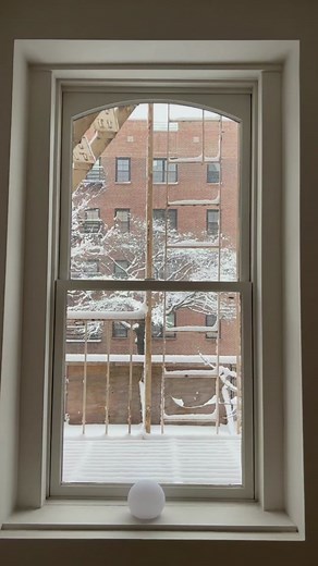 Winter Wonderland: Serene Snowy Views from My Window