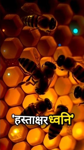 Strange Facts about Squid #top10 #shorts